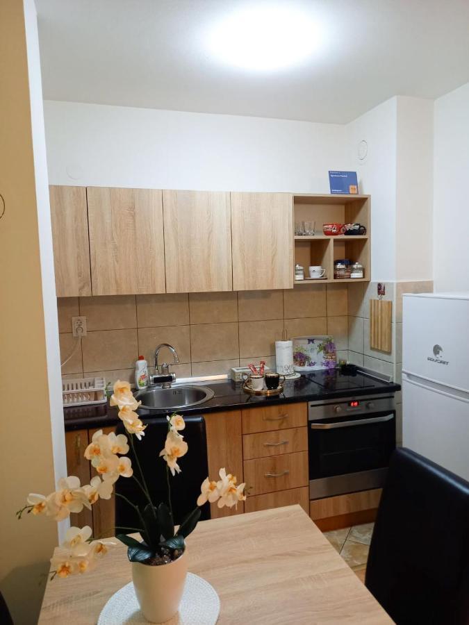 Apartman Central Bijeljina Exterior foto